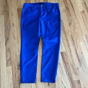 Tinsel Blue 5-Pocket Pants, Size 30